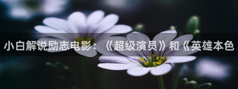樱花视频大全免费观看