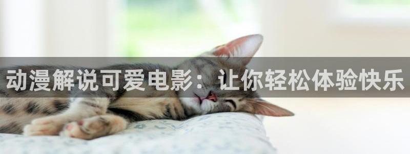 樱花视频成人