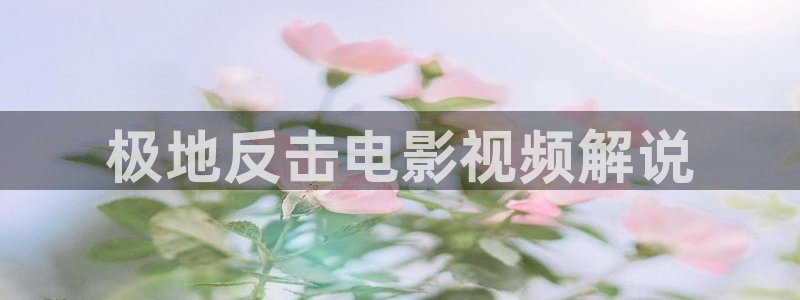 樱花视频mp4