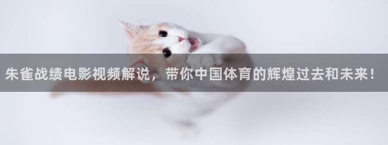 后宫露营樱花影视