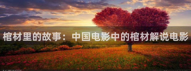 樱花视频在线观看高清电视剧