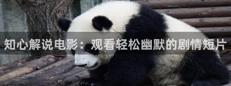 樱花视频免费动漫