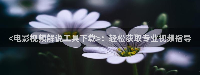 樱花影视免费在线观看