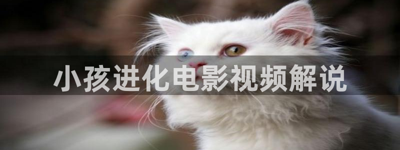 樱花视频在线观看电视剧全集免费