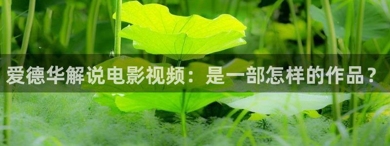 樱花视频网站.