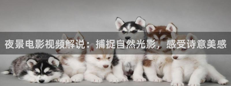 樱花影院免费观看电视剧