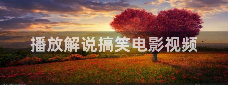 樱花视频导航