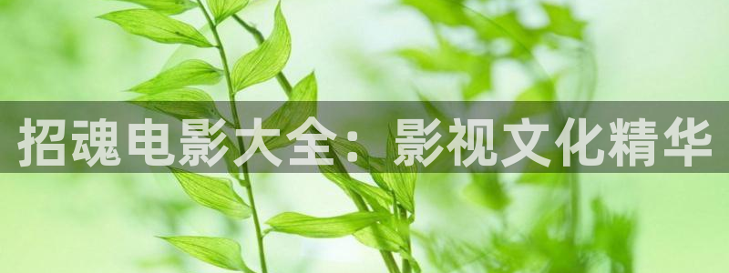 玖玖玖樱花视频