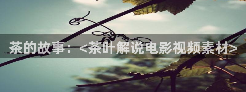 嗯～啊～轻一点樱花视频