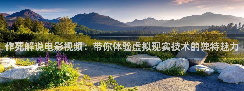 免费樱花影视